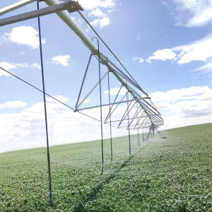 Dyp Center Pivot Irrigation System for Sale