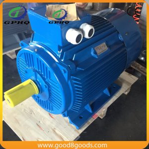 Y2 40HP/CV 30kw 1750rpm Cast Iron Squirrel Cage Asynchronous Motor